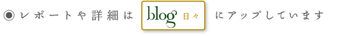 ブログへ